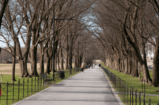  DNA Testing in Norwalk,  CT